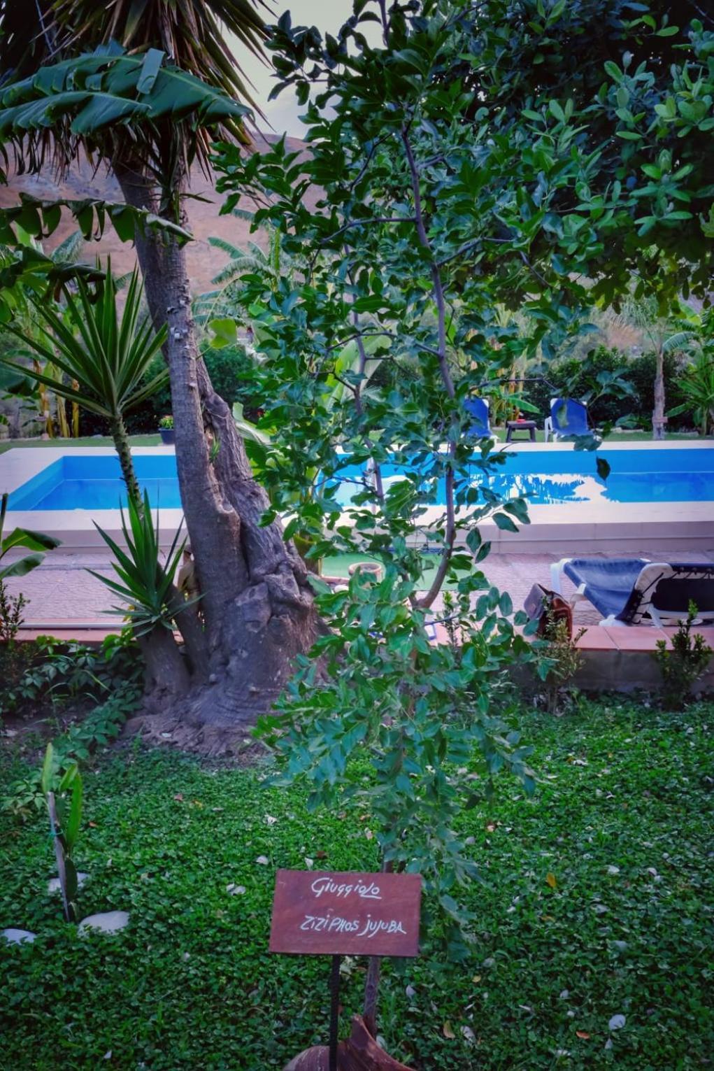 Casa Vacanze Fondaco Di Scillato Scillato  Экстерьер фото